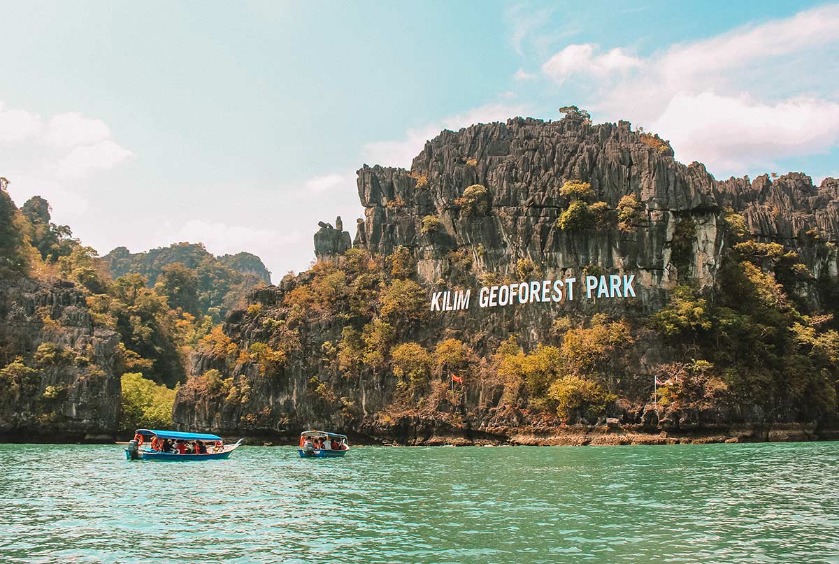 Jelajahi Hutan Mangrove Langkawi yang Menakjubkan dengan Mangrove Tour